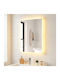 Costway Rectangular Bathroom Mirror Led Touch 50x50cm White
