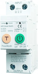 Бутон Рейка WiFi 63A