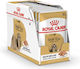 Royal Canin Shih Tzu Hrană Umedă pentru Câini 12x85gr