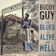 Buddy Guy Blues Is Alive Well 1 Cd