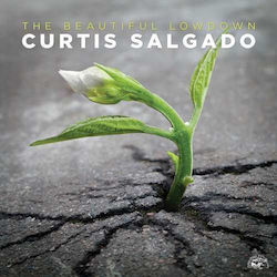 Curtis Salgado Beautiful Lowdown 1 Cd