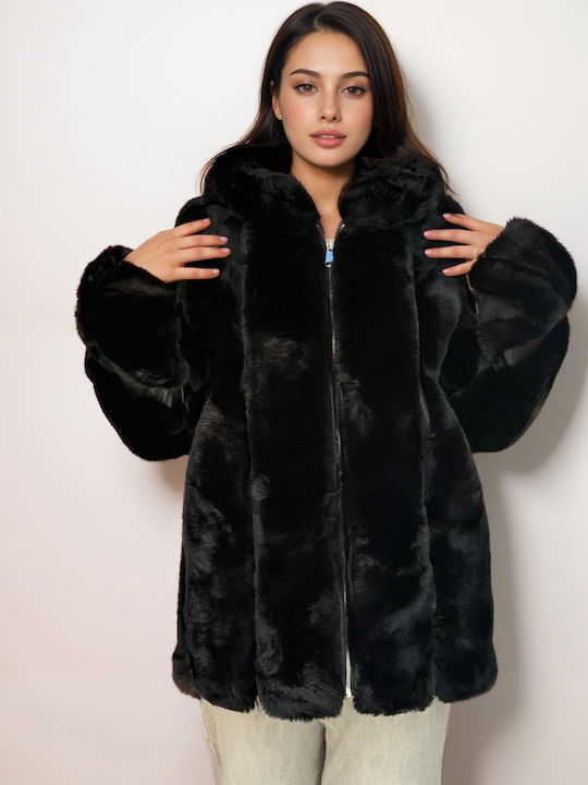New Collection