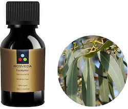 Rosveda Αιθέριο Έλαιο Φασκόμηλο 10ml Rosveda Αιθέριο Έλαιο Φασκόμηλο 10ml