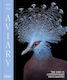 Aviary: The Bird In Contemporary Photography Danae Panchaud Thames & Hudson Ltd