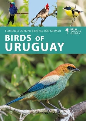 Birds Of Uruguay Rafael Tosi Germán Helm Birds Of Uruguay Rafael Tosi Germán Helm