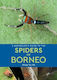 A Naturalist's Guide To The Spiders Of Borneo Wong Tsu Shi John Beaufoy Publishing Ltd