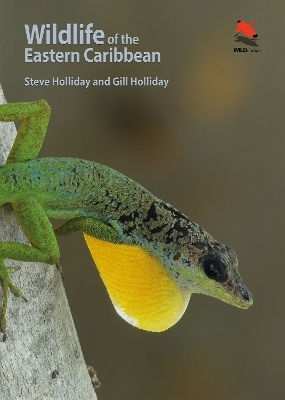 Wildlife Of The Eastern Caribbean Gill Holliday Princeton University Press