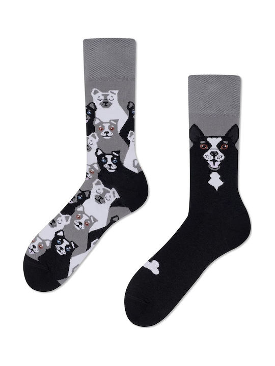 Many Mornings Black Dog Socks Black