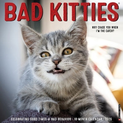 Bad Kitties 2026 Wall Calendar Willow Creek Press Wlcp