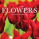 Flowers 2026 Mini Wall Calendar Willow Creek Press Wlcp