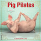 Pig Pilates 2026 Wall Calendar Willow Creek Press Wlcp