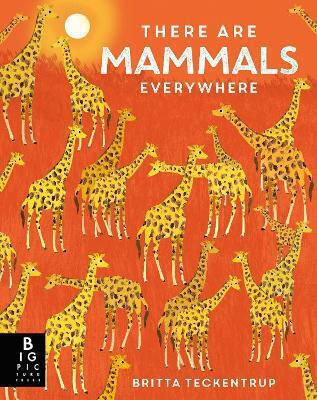 There Are Mammals Everywhere Camilla De La Bedoyere There Are Mammals Everywhere Camilla De La Bedoyere
