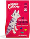 Edgard Cooper Dry Food for Senior Cats 2kg
