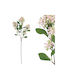 Sucursala Liliac Roz X3 Flori 70cm 24/168cutii 00-1870-2