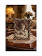 Galifas Metallic Photo Frame