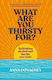 What Are You Thirsty For?: Rethinking Alcohol And The Life You Want Anna Donaghey New River Books Ltd