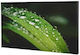 Dahua DHI-LS550KDH-UF Public Display 55" LED 4K UHD