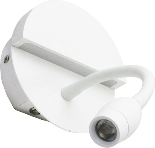 Adeleq LED Warm White Spot in White Color