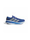 Adistar 4 Ανδρικά Αθλητικά Παπούτσια Running Μπλε