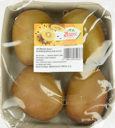 Ακτινίδια Χρυσά Zespri Εισαγωγής 500gr