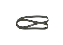 Bosch Ribbed Transmission Belt 1 987 946 054