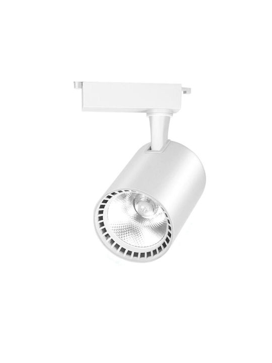 LED Cool White Spot with 10 Lights in White Color
