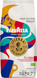 Кафе Еспресо Lavazza Tierra Bio Organic Cuba 1000g Зърна