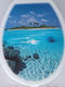 Eurocasa Plastic Toilet Seat Multicolour 43cm