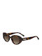 Moschino Unisex Sunglasses With Brown Horn-Rimmed Frame And Brown Lens MOL105/S WR9/HA
