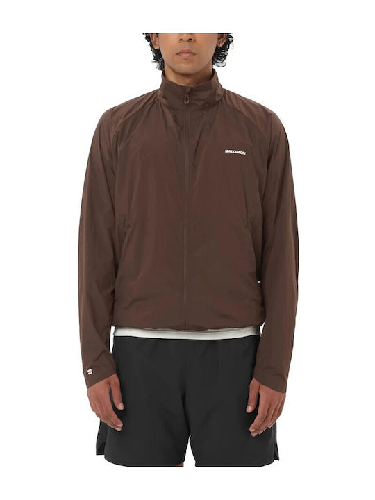 Jacke Bomber Wasserdicht und Winddicht Braun