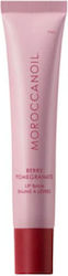 Moroccanoil Lip Balm 15gr