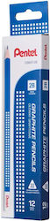 Pack Wooden Pencil 2b 12 Pieces