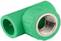 Interplast Rohr-T-Stück Weiblich Ppr Durchmesser 32x1"xφ32