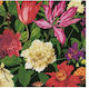 Xαρτοπετσέτες Cocktail Dutch Floral Black 12.5x12.5cm Caspari 20 Tεμάχια
