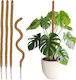 Set 5 Plant Bamboo Sticks Relaxdays 90 Cm Height