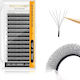 Nagaraku 6d W Shape Eyelash Extension 0.07c 11mm