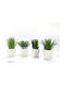 Plastic Potted Plant Vase 671220
