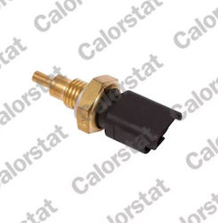 Verws2693 Supapă De Temperatură Ps Pornire Multipla-stilo Calorstat Verws2693 Supapă De Temperatură Ps Pornire Multipla-stilo Calorstat