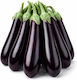 Aubergine Lagadá Seed 5gr