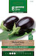 Μελιτζάνα Φλάσκα Μαύρη Eggplant Gemma