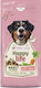 Happy Life 12.5kg Trockenfutter für erwachsene Hunde mit Lamm, Apfel, Reis, Fleisch, Gemüse und Lachs
