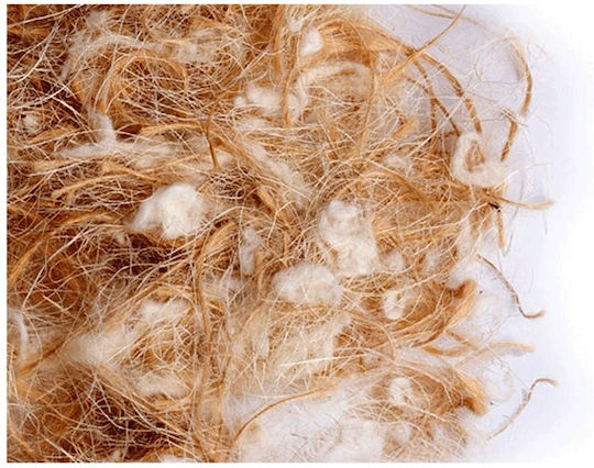 Sisal Fibre Nest Yarn Juta Cotton Canaries Jute Cotton White Yarn 1000 Gr