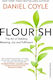 Flourish: The Art Of Building Meaning, Joy And Fulfilment Daniel Coyle Cornerstone Press
