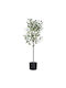 Artificial Plant in Pot Olive Green 90cm Iliadis