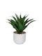 Künstliche Pflanze im Töpfchen Aloe Grün 28cm Iliadis