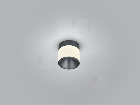 Helestra Πλαφονιέρα 10εκ. LED