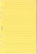 Antra Carnet A5 Galben