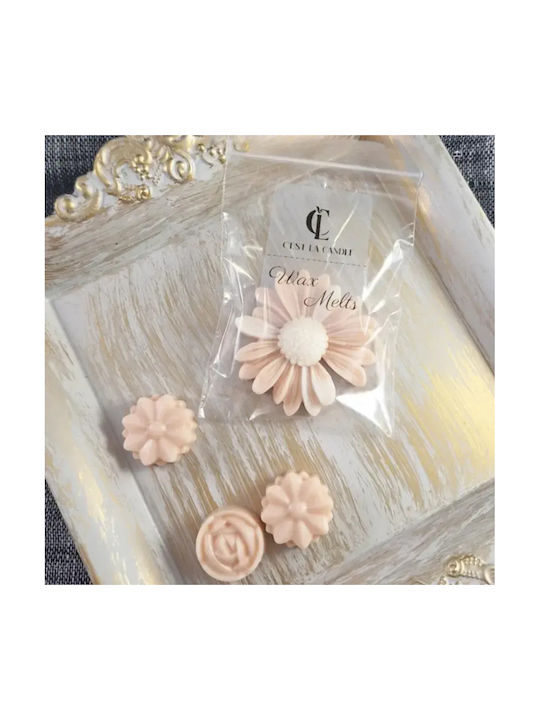 Wax Melts Μαργαρίτα 1 Τμχ Clean & Fresh