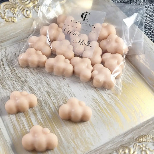 Wax Melts Cones 50g Ocean