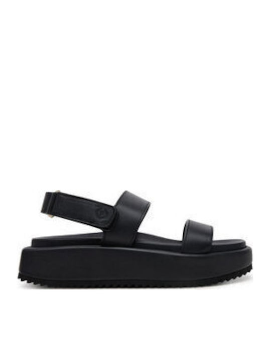 Pollini